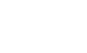 Senador Ciro pelo Piauí